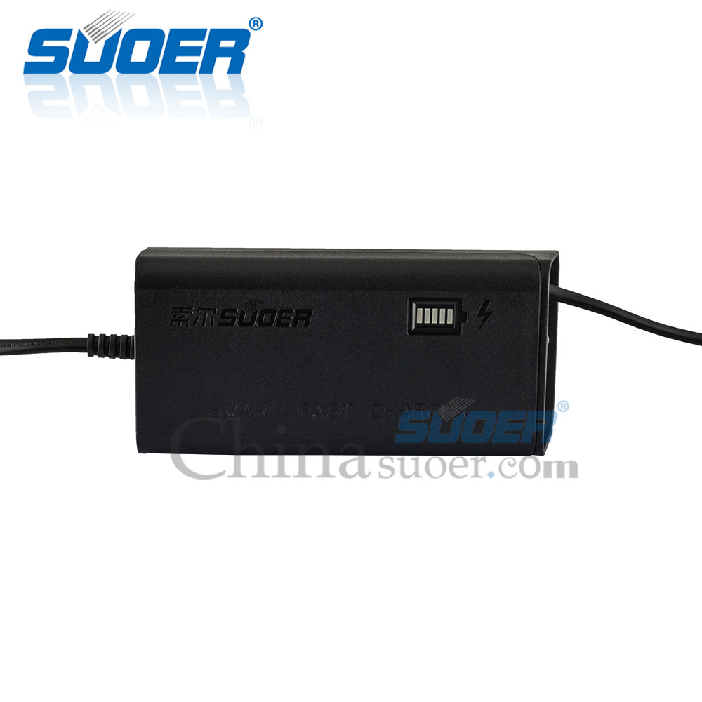 AGM/GEL Battery Charger - SON-1203D